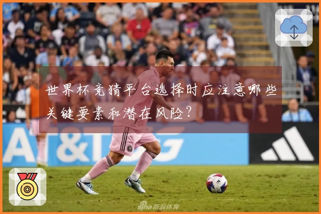 世界杯竞猜平台选择时应注意哪些关键要素和潜在风险？