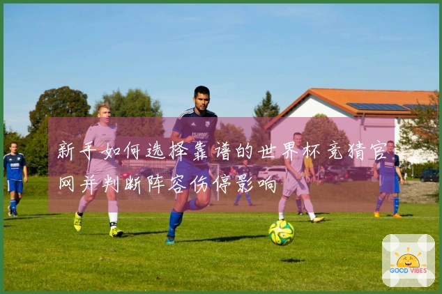 新手如何选择靠谱的世界杯竞猜官网并判断阵容伤停影响