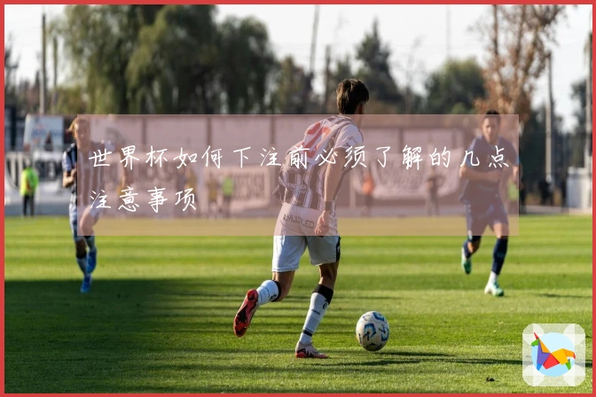 世界杯如何下注前必须了解的几点注意事项