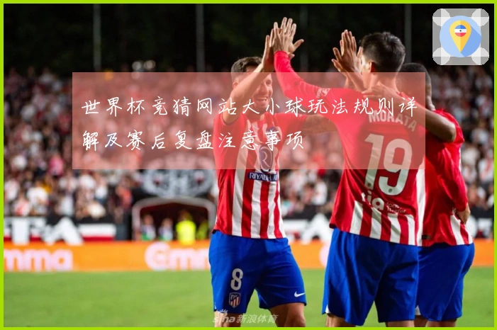 世界杯竞猜网站大小球玩法规则详解及赛后复盘注意事项